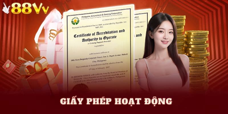 Giấy phép hoạt động & thành tích của 88VV